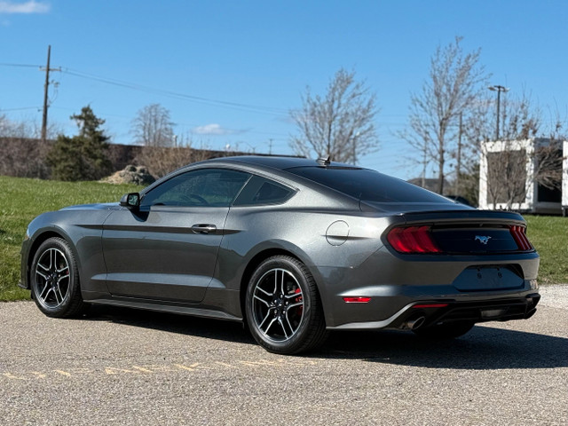 2020 Ford Mustang EcoBoost Fastback in Cars & Trucks in Mississauga / Peel Region - Image 4