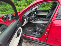 Experience the Thrill of the Road with the 2020 Alfa Romeo Stelvio: A Compact Luxury SUV for the Dis... (image 6)