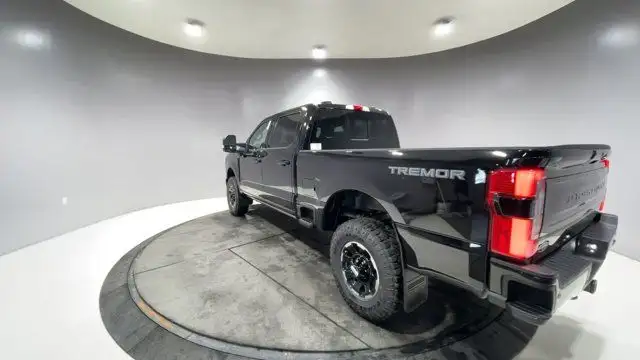 2025 Ford Super Duty F-250 SRW Platinum in Cars & Trucks in Strathcona County - Image 11