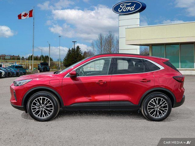 2024 Ford Escape PHEV | Company Car!| MOONROOF | LOW KM'S in Cars & Trucks in Kitchener / Waterloo - Image 4