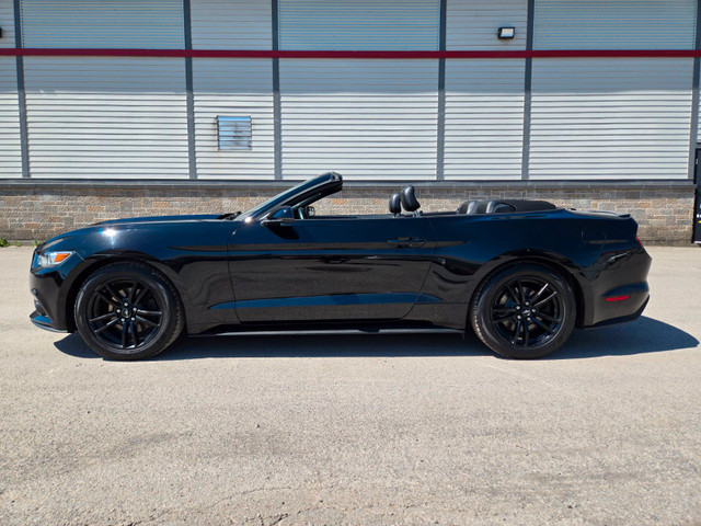 2017 Ford Mustang 2.3T / Premium / CONVERTIBLE / NAVI EcoBoost in Cars & Trucks in West Island - Image 4