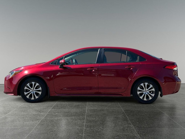 2022 Toyota Corolla Hybrid CVT w-Li Battery in Cars & Trucks in Calgary - Image 2