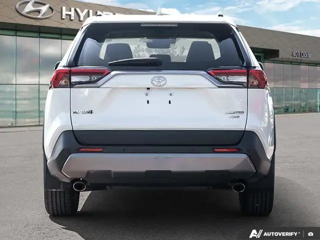 2020 Toyota RAV4 Limited63436968244995124