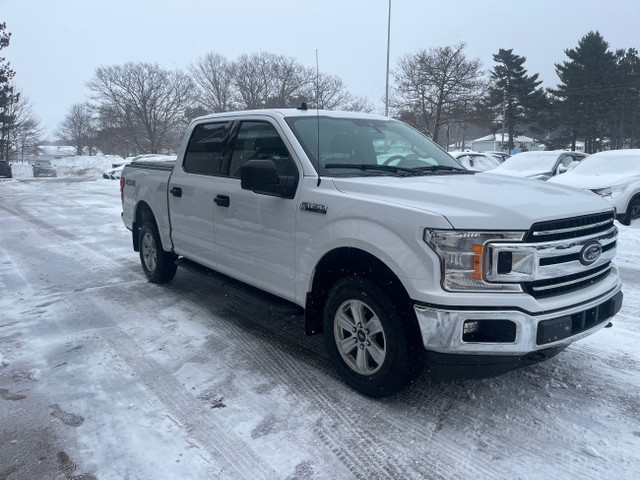 2019 Ford F-150 XLT GREAT PRICE, FINANCING AVAILABLE, CALL NO... in Cars & Trucks in Annapolis Valley - Image 3