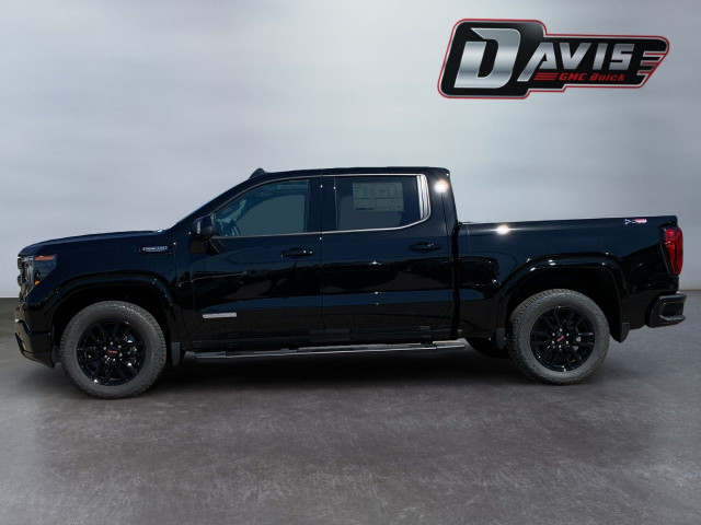 2025 GMC Sierra 1500 in Cars & Trucks in Hamilton - Image 2