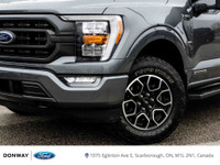 3.5L POWERBOOST HYBRID | LONG BOX | LEATHER INTERIOR | B&O SOUND SYSTEM | TWIN PANEL MOONROOF | XLT... (image 5)