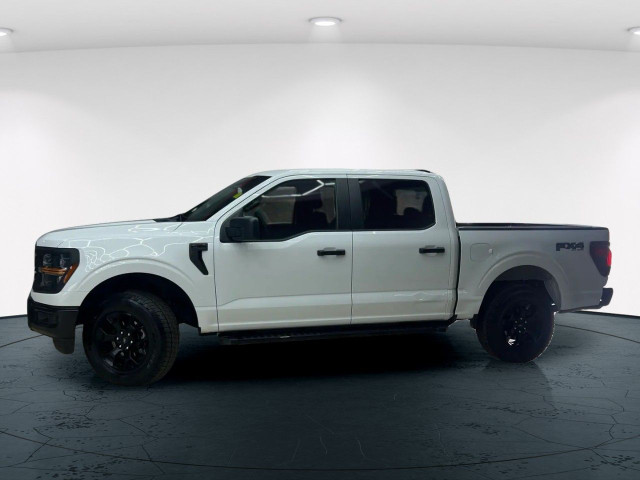 2024 Ford F-150 in Cars & Trucks in Edmonton - Image 3