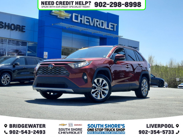 2019 Toyota RAV4 Limited in Cars & Trucks in Bridgewater