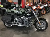 2017 Harley-Davidson FATBOY FLSTF 103