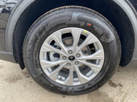**WE WILL BEAT ANY FORD DEALER IN THE CITY** Built for drivers who crave excitement and versatility,... (image 3)