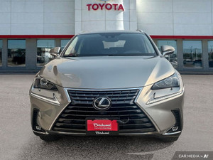 2020 Lexus NX 300 300