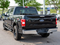4x4, 2.7L EcoBoost V6, Pro Trailer Backup Assist, Backup Camera, 8 Inch Colour Touchscreen, Running... (image 8)