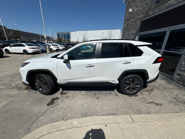 2023 Toyota RAV4 Hybrid Limited in Cars & Trucks in Mississauga / Peel Region - Image 3