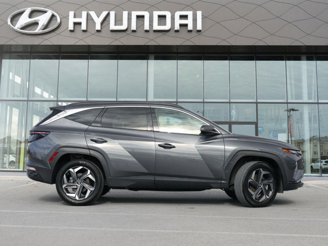 2023 Hyundai Tucson Hybrid Luxury - Sunroof - Cooled Seats in Cars & Trucks in Ottawa - Image 2