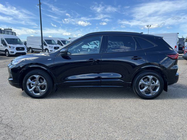 2024 Ford Escape ST-Line | Rear Cam | Heated Seats | SYNC 4 in Cars & Trucks in Edmonton - Image 4