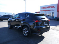 Command attention wherever you go in this sleek 2020 Lexus NX 300, boasting a sophisticated Obsidian... (image 6)