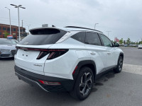 Fast Charging, Sunroof, Cooled Seats, Leather Seats, Apple CarPlay! Highways, byways, urban sprawls,... (image 5)
