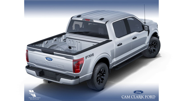 2025 Ford F-150 STX in Cars & Trucks in Red Deer - Image 4