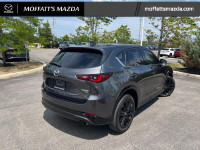 Premium Audio, Cooled Seats, HUD, Sunroof, Climate Control, Power Liftgate, Leather Seats, Apple Car... (image 5)