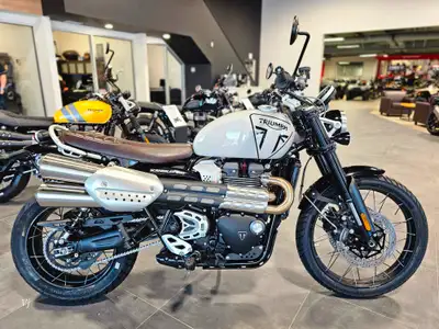 2025 TRIUMPH SCRAMBLER 1200 XAll the incredible performance, capability, and style of the Scrambler...