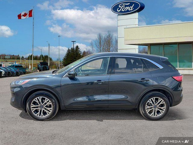 2022 Ford Escape SEL in Cars & Trucks in Kitchener / Waterloo - Image 4