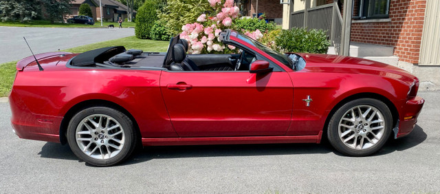2013 Ford MUSTANG V6 CABRIOLET - PREMIUM - "PONY PACK" in Cars & Trucks in Trois-Rivières - Image 2