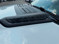 WAS: $42879 NOW: $39998 plus taxes and licensing feesConquer the Canadian Terrain with the 2020 RAM... (image 2)