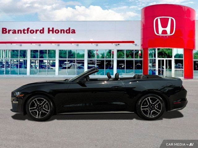 2022 Ford Mustang EcoBoost Premium in Cars & Trucks in Brantford - Image 2