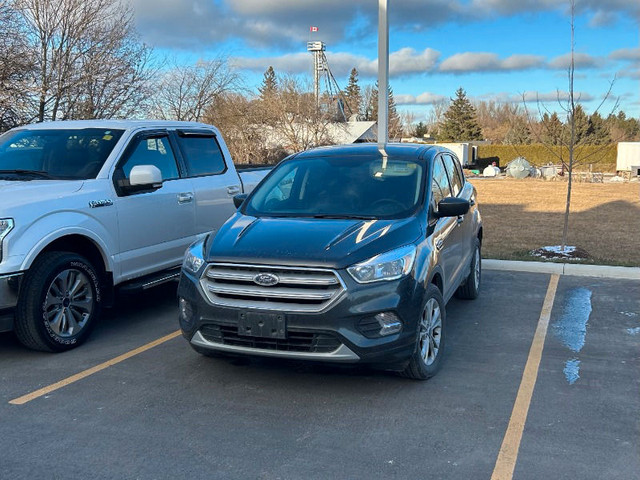  2019 Ford Escape SE in Cars & Trucks in Kawartha Lakes