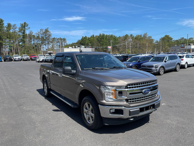 2020 Ford F-150 XLT -Carfax Clean-Priced to Go- in Cars & Trucks in Annapolis Valley - Image 4