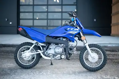 Engine Type: Single-Cylinder Displacement: 3 cu. in. (49 cc) Bore and Stroke: Bore: 1.42 in. (36 mm)...