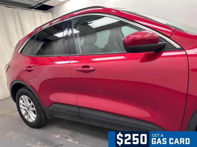 2020 Ford Escape SE 1.5L 3CYL | HEATED FRONT SEATS | BLUETOOTH in Cars & Trucks in Lethbridge - Image 2