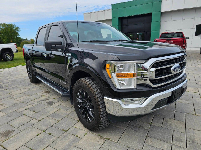 2021 Ford F-150 in Cars & Trucks in Ottawa - Image 3