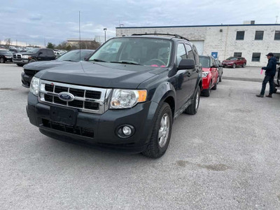  2009 Ford Escape XLT