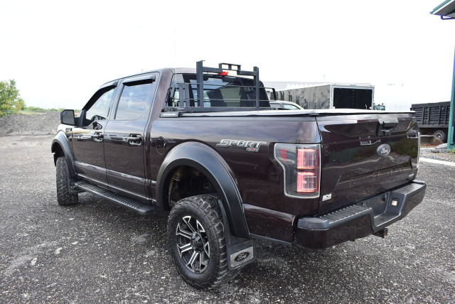 2019 Ford F-150 XLT - 2.7L ECOBOOST in Cars & Trucks in Winnipeg - Image 4