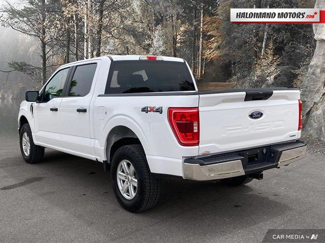 2023 Ford F-150 XLT in Cars & Trucks in Hamilton - Image 3