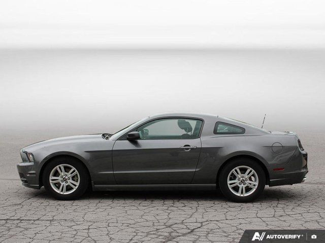 2014 Ford Mustang in Cars & Trucks in Hamilton - Image 2