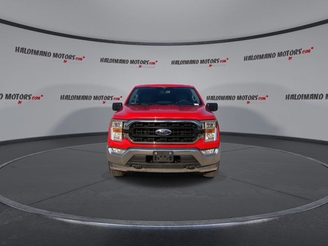 2021 Ford F-150 XLT 4X4 | Android Auto | Apple Carplay in Cars & Trucks in Hamilton - Image 3