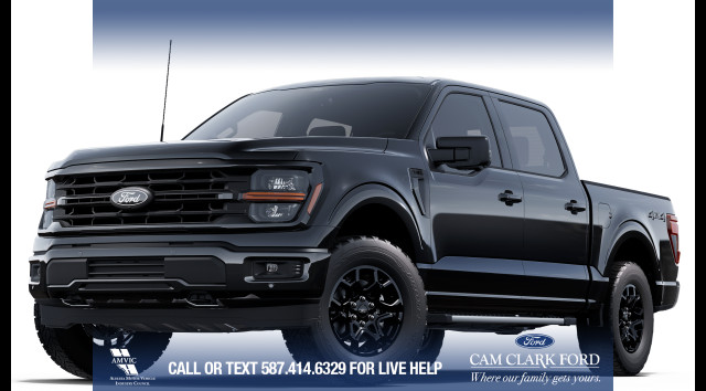 2025 Ford F-150 XLT in Cars & Trucks in Calgary