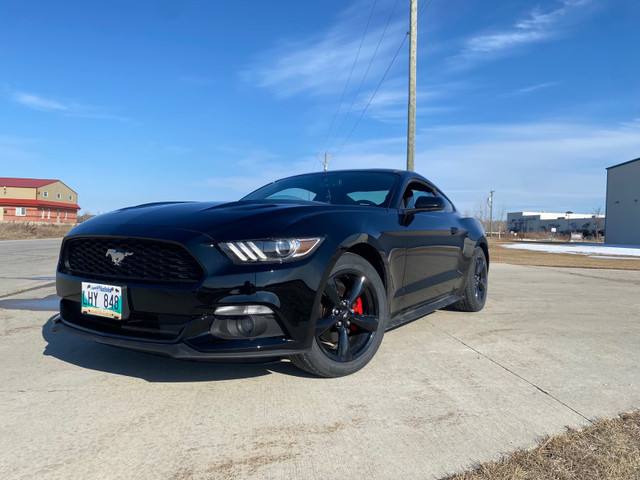 2017 Ford Mustang EcoBoost in Cars & Trucks in Winnipeg