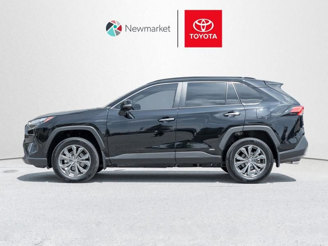 2025 Toyota RAV4 Hybrid Limited - Leather Seats in Cars & Trucks in Markham / York Region - Image 4