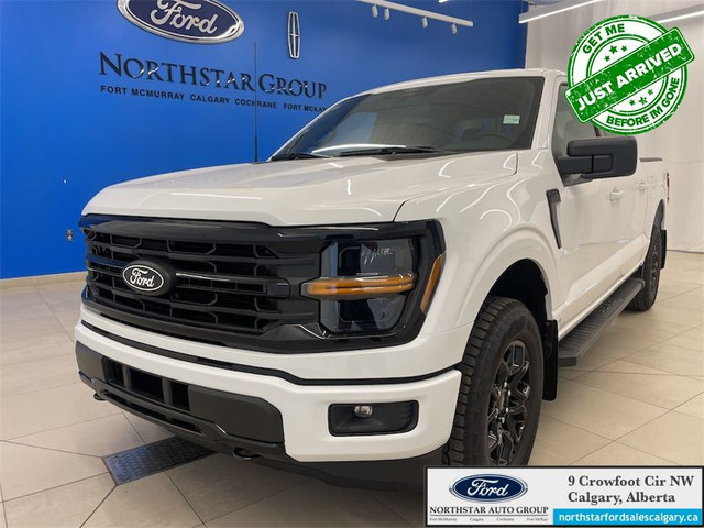 2025 FORD F-150 XLT in Cars & Trucks in Calgary