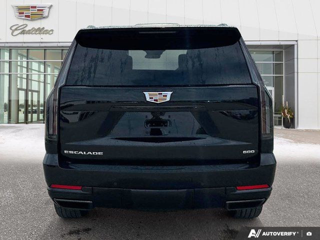 2025 Cadillac Escalade 4WD Sport Platinum in Cars & Trucks in Winnipeg - Image 4