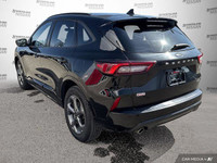 APPLE CAR PLAY ANDROID AUTO | USE POWER PORTS | HEATED STEERING WHEEL | REVERSE CAMERA SYSTEM | FORD... (image 2)
