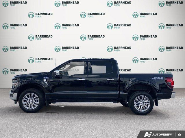 2024 Ford F-150 XLT 4WD SuperCrew in Cars & Trucks in Edmonton - Image 3