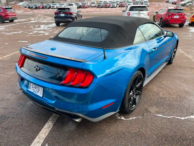 2019 Ford Mustang EcoBoost Premium Heated Seats, Backup Camera in Cars & Trucks in Charlottetown - Image 8