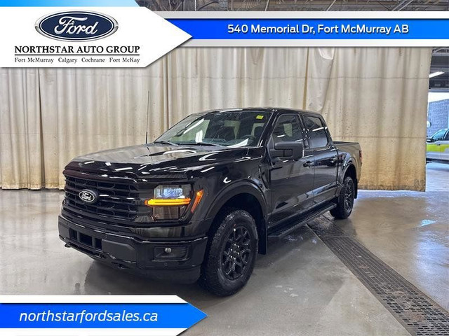 2025 FORD F-150 XLT in Cars & Trucks in Calgary