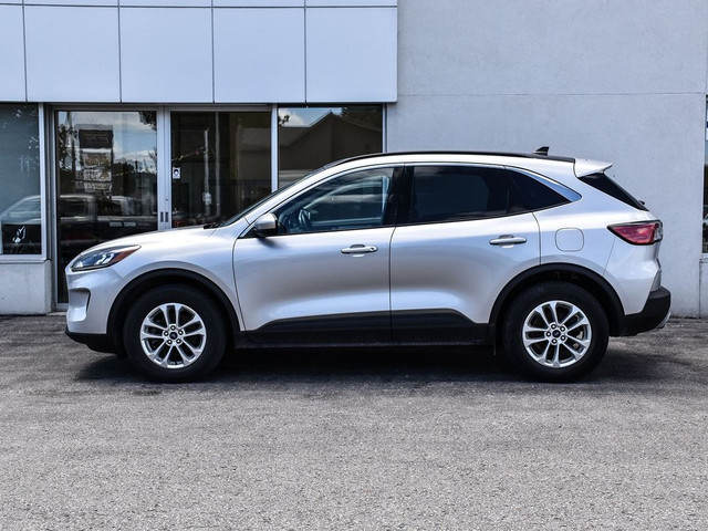 2020 Ford Escape SE in Cars & Trucks in Kawartha Lakes - Image 4