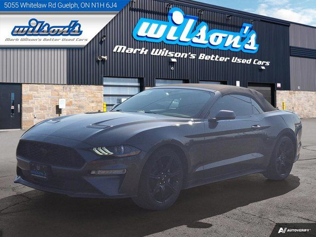 2018 Ford Mustang EcoBoost Premium Leather | Cooled + in Cars & Trucks in Guelph