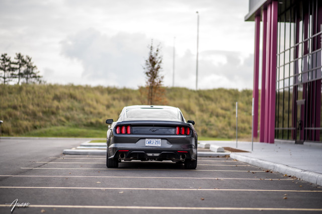 2016 Ford Mustang EcoBoost Premium in Cars & Trucks in Ottawa - Image 2